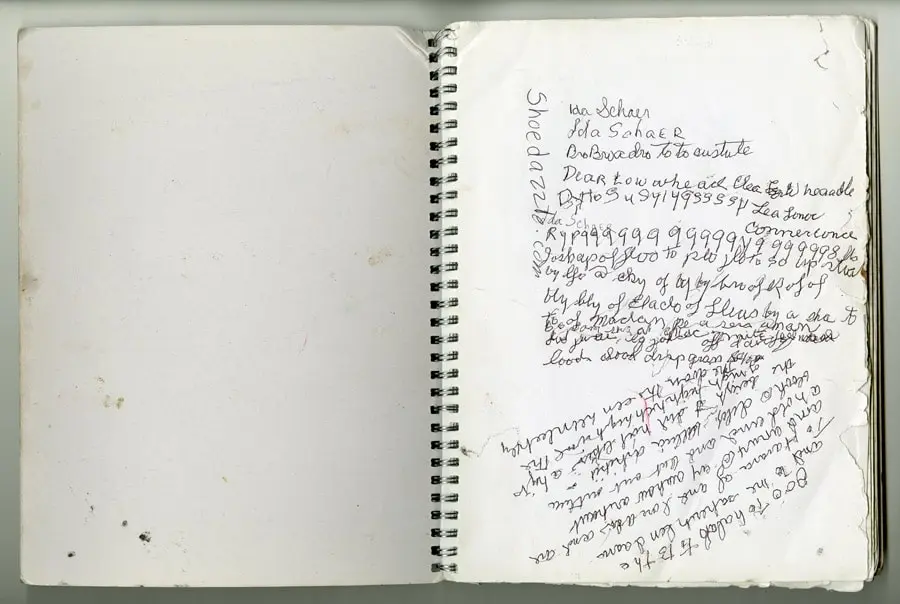 Ida’s original notebook and inspiration for Clouds of Unbecoming.