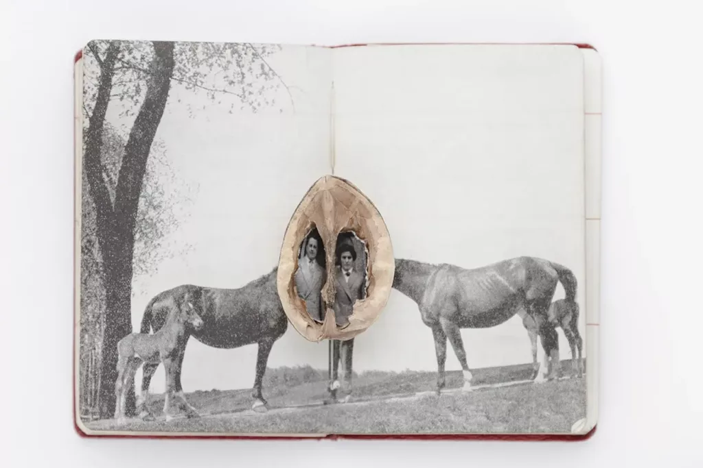Greet van Dam’s parents on their wedding day. They had difficulties during their relationship and lost their firstborn at the age of 6. 
The artist put the image in a walnut to separate them from the rest of the image. The picture of the horses was found in Piet van Dam’s agenda from 1953, the year they married.
