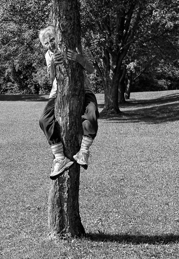 Tree Climber